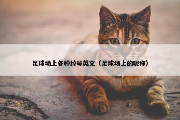 足球场上各种绰号英文（足球场上的昵称）