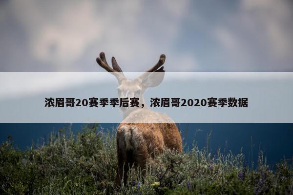 浓眉哥20赛季季后赛,浓眉哥2020赛季数据 浓眉哥20赛季季后赛,浓眉哥2020赛季数据