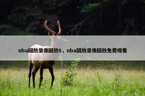 nba回放录像回放8，nba回放录像回放免费观看