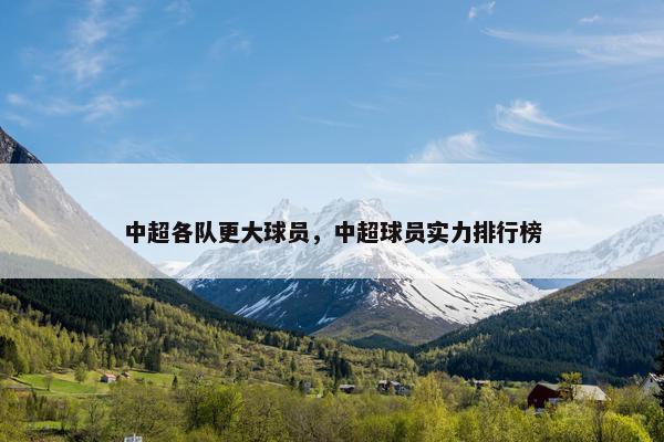 中超各队更大球员，中超球员实力排行榜