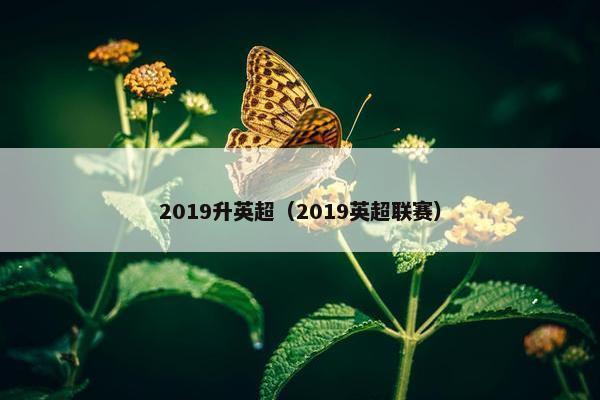 2019升英超（2019英超联赛）