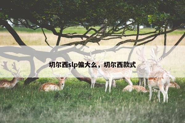 切尔西slp偏大么，切尔西款式