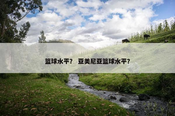 篮球水平？ 亚美尼亚篮球水平？