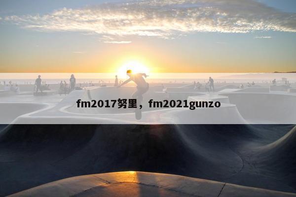fm2017努里，fm2021gunzo