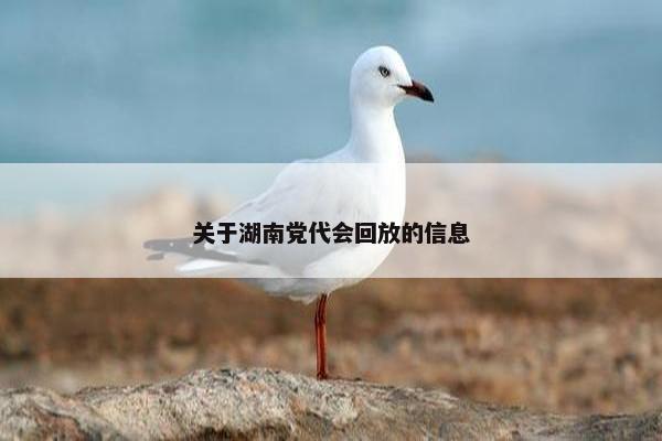 关于湖南党代会回放的信息