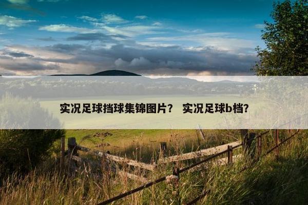 实况足球挡球集锦图片？ 实况足球b档？