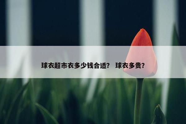 球衣超市衣多少钱合适？ 球衣多贵？