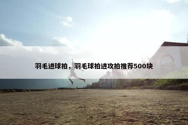 羽毛进球拍，羽毛球拍进攻拍推荐500块