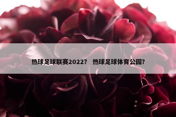 热球足球联赛2022？ 热球足球体育公园？