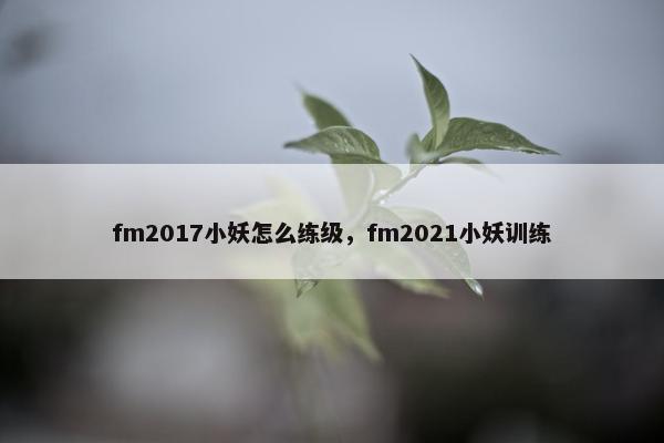 fm2017小妖怎么练级,fm2021小妖训练 fm2017小妖怎么练级,fm2021小妖训练