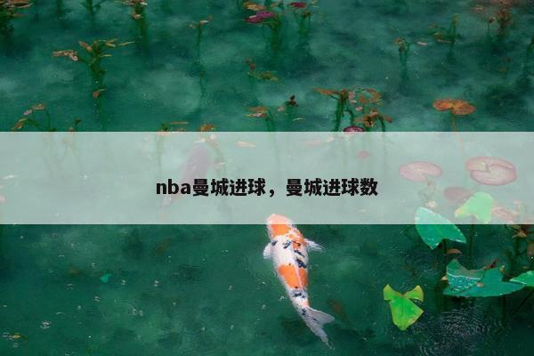nba曼城进球，曼城进球数