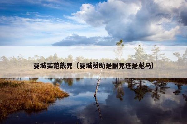 曼城买范戴克（曼城赞助是耐克还是彪马）