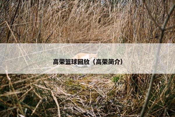 高荣篮球回放（高荣简介）