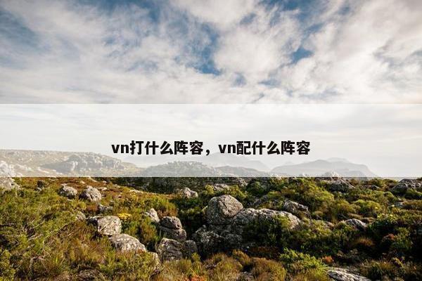 vn打什么阵容，vn配什么阵容