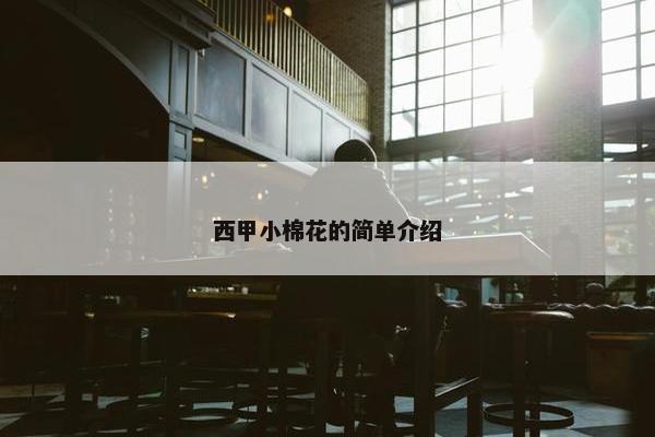 西甲小棉花的简单介绍