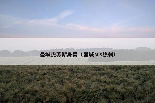 曼城热苏斯身高（曼城ⅴs热刺）