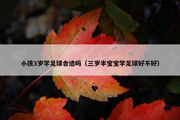 小孩3岁学足球合适吗（三岁半宝宝学足球好不好）