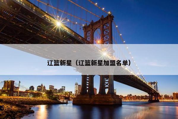 辽篮新星（辽篮新星加盟名单）