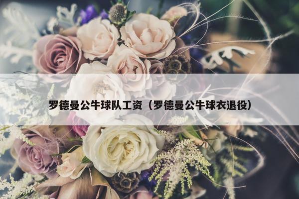 罗德曼公牛球队工资（罗德曼公牛球衣退役）