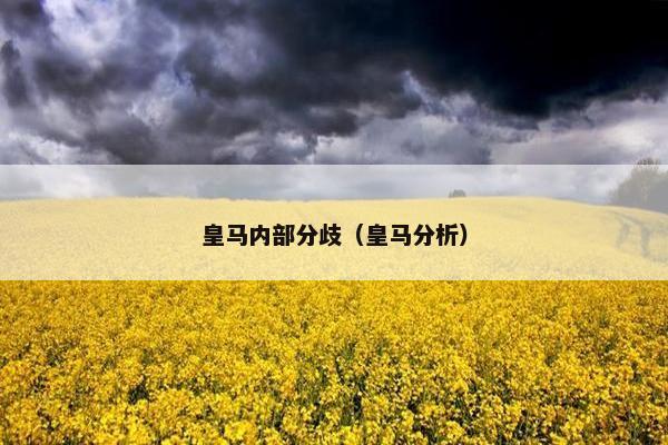 皇马内部分歧（皇马分析）