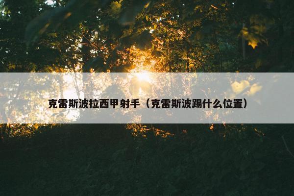 克雷斯波拉西甲射手（克雷斯波踢什么位置）