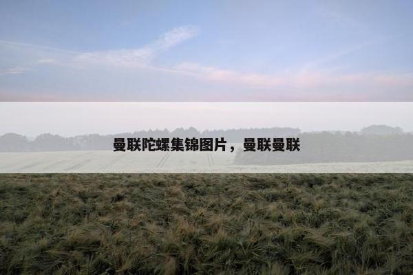 曼联陀螺集锦图片，曼联曼联