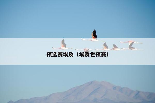 预选赛埃及（埃及世预赛）