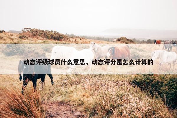 动态评级球员什么意思，动态评分是怎么计算的