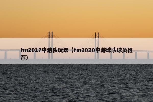 fm2017中游队玩法（fm2020中游球队球员推荐）