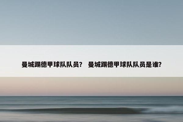 曼城踢德甲球队队员？ 曼城踢德甲球队队员是谁？