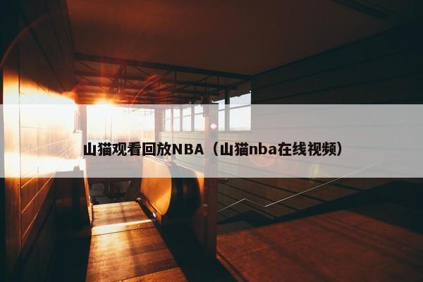 山猫观看回放NBA（山猫nba在线视频）