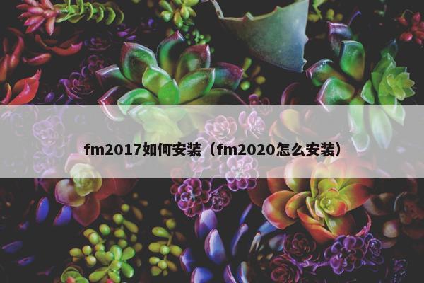 fm2017如何安装（fm2020怎么安装）