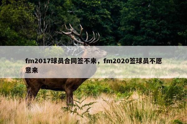 fm2017球员合同签不来，fm2020签球员不愿意来