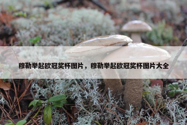 穆勒举起欧冠奖杯图片，穆勒举起欧冠奖杯图片大全