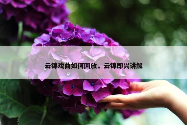 云锦戏曲如何回放，云锦即兴讲解