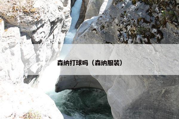森纳打球吗（森纳服装）