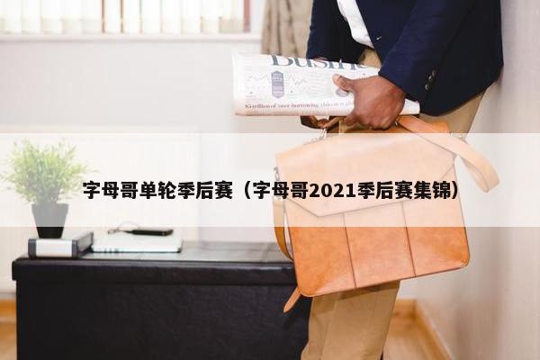 字母哥单轮季后赛（字母哥2021季后赛集锦）