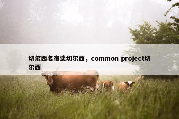 切尔西名宿谈切尔西，common project切尔西