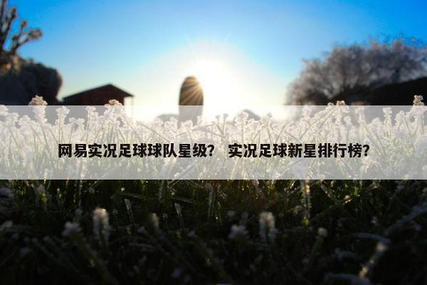 网易实况足球球队星级？ 实况足球新星排行榜？
