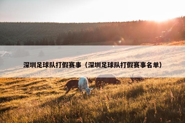 深圳足球队打假赛事（深圳足球队打假赛事名单）