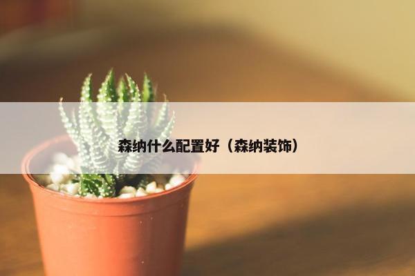 森纳什么配置好（森纳装饰）