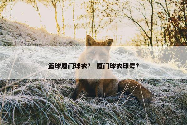 篮球厦门球衣？ 厦门球衣印号？