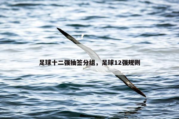 足球十二强抽签分组，足球12强规则