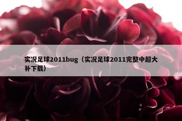 实况足球2011bug（实况足球2011完整中超大补下载）