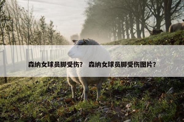 森纳女球员脚受伤？ 森纳女球员脚受伤图片？