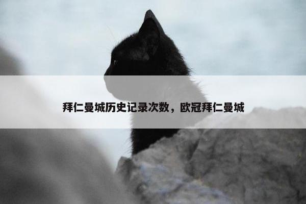 拜仁曼城历史记录次数，欧冠拜仁曼城