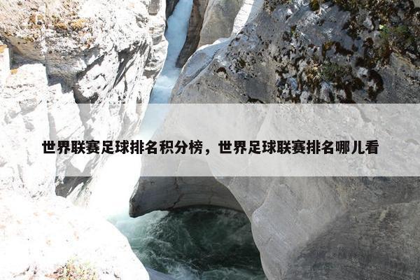 世界联赛足球排名积分榜，世界足球联赛排名哪儿看