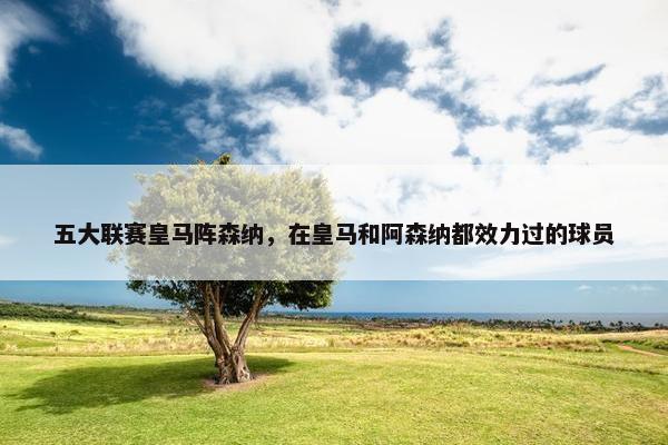 五大联赛皇马阵森纳，在皇马和阿森纳都效力过的球员