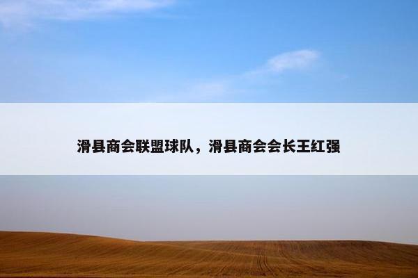 滑县商会联盟球队，滑县商会会长王红强