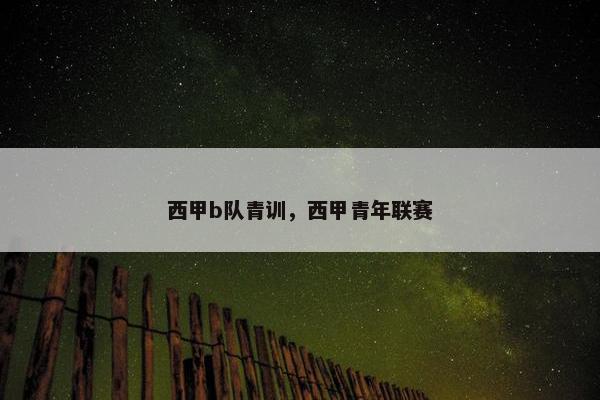 西甲b队青训，西甲青年联赛